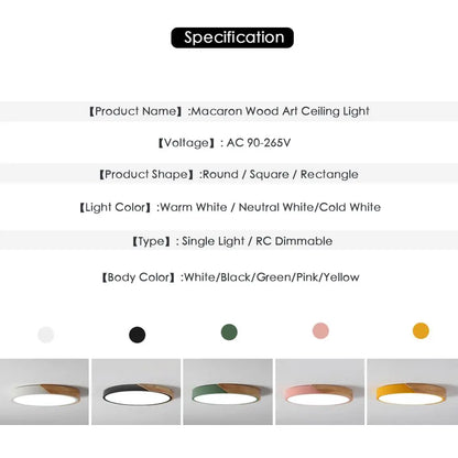 LED Ceiling Light Modern Nordic Round Lamp