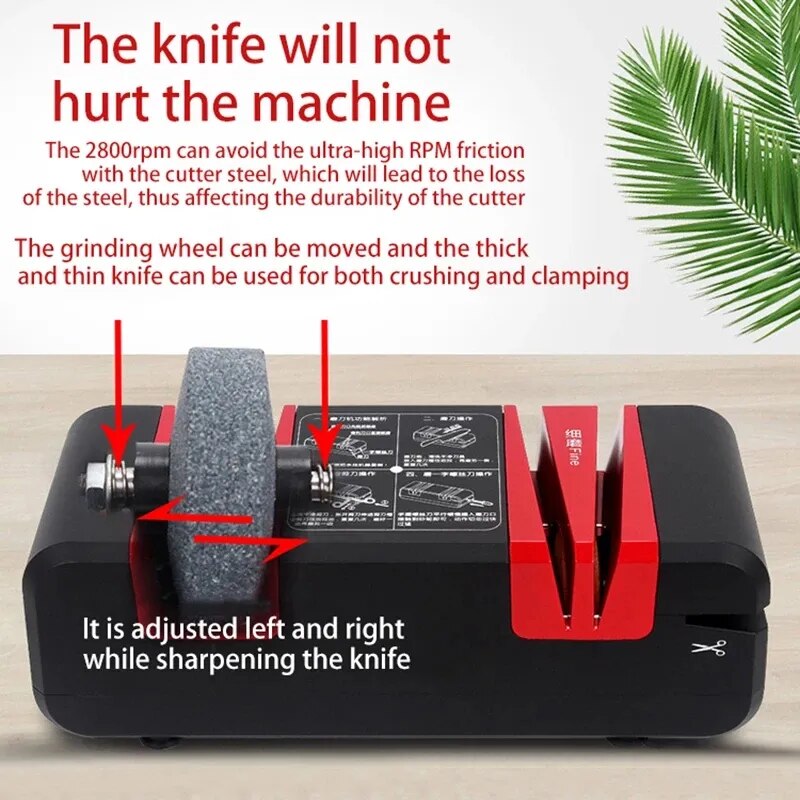 Professional Electric Knife Sharpener