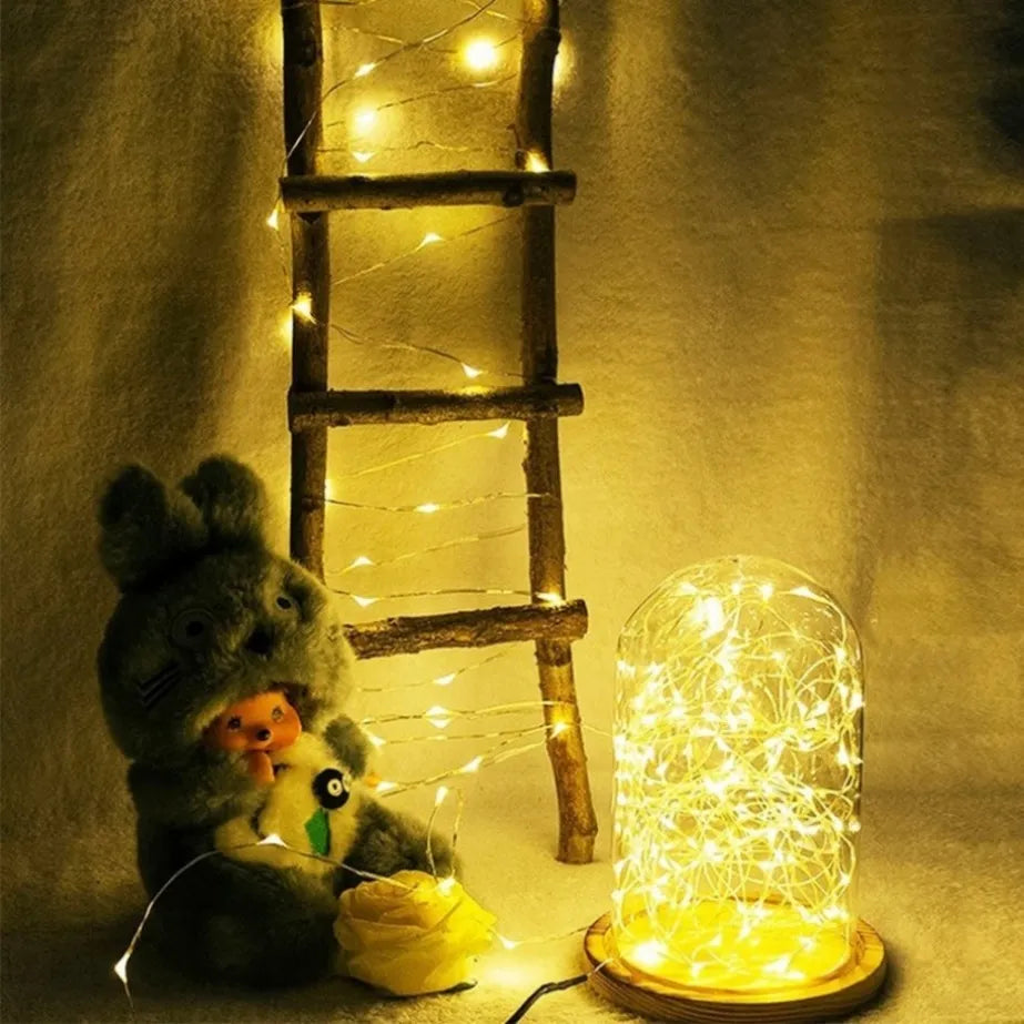 PaaMaa LED Fairy String Lights