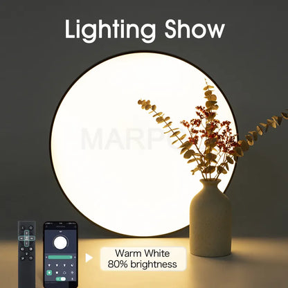 MARPOU Smart ceiling led lamp