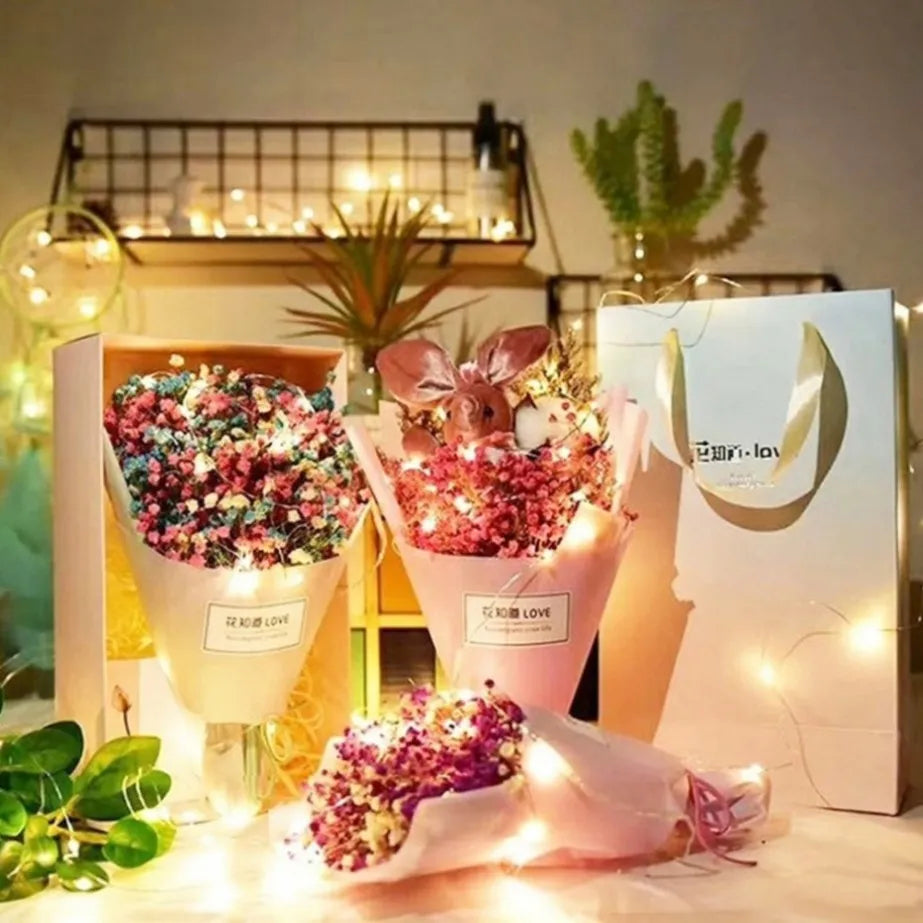 PaaMaa LED Fairy String Lights